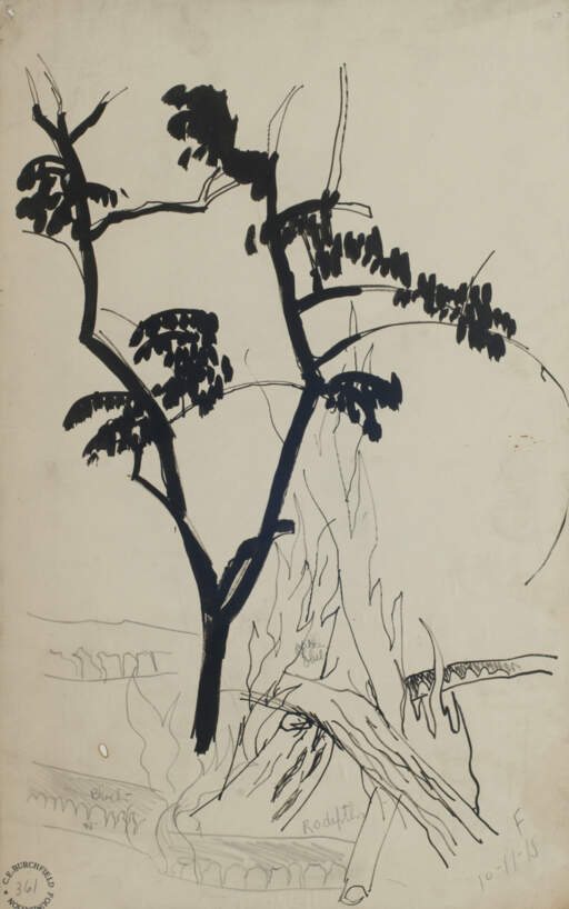 Tree and Bon Fire