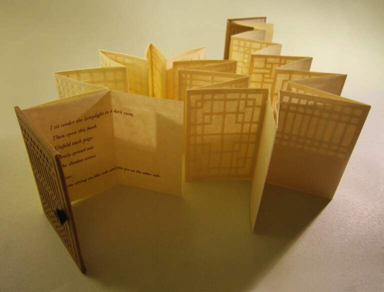A Shadow Book 