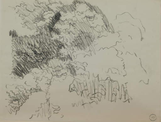 Foliage Study