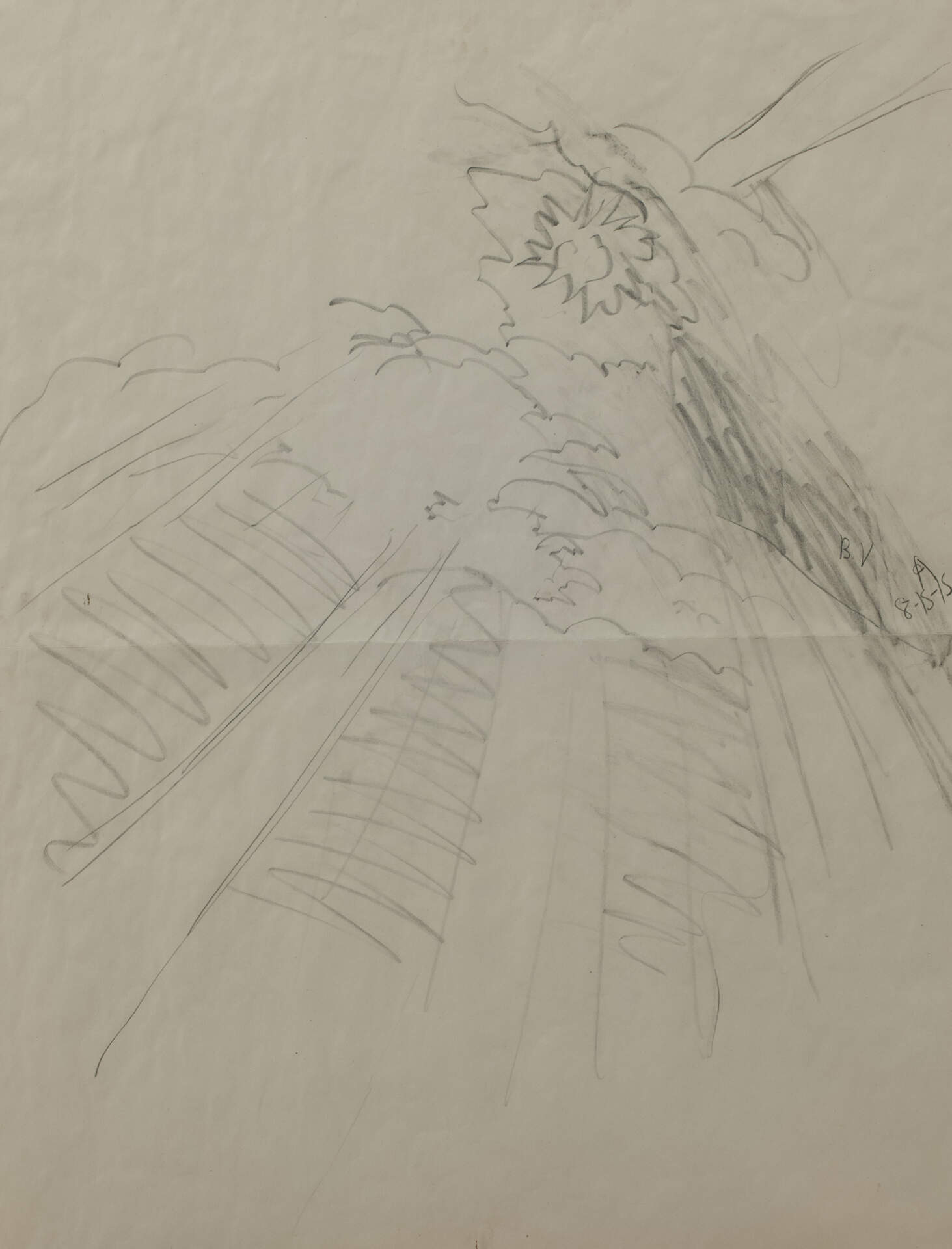 Untitled (Sunburst)