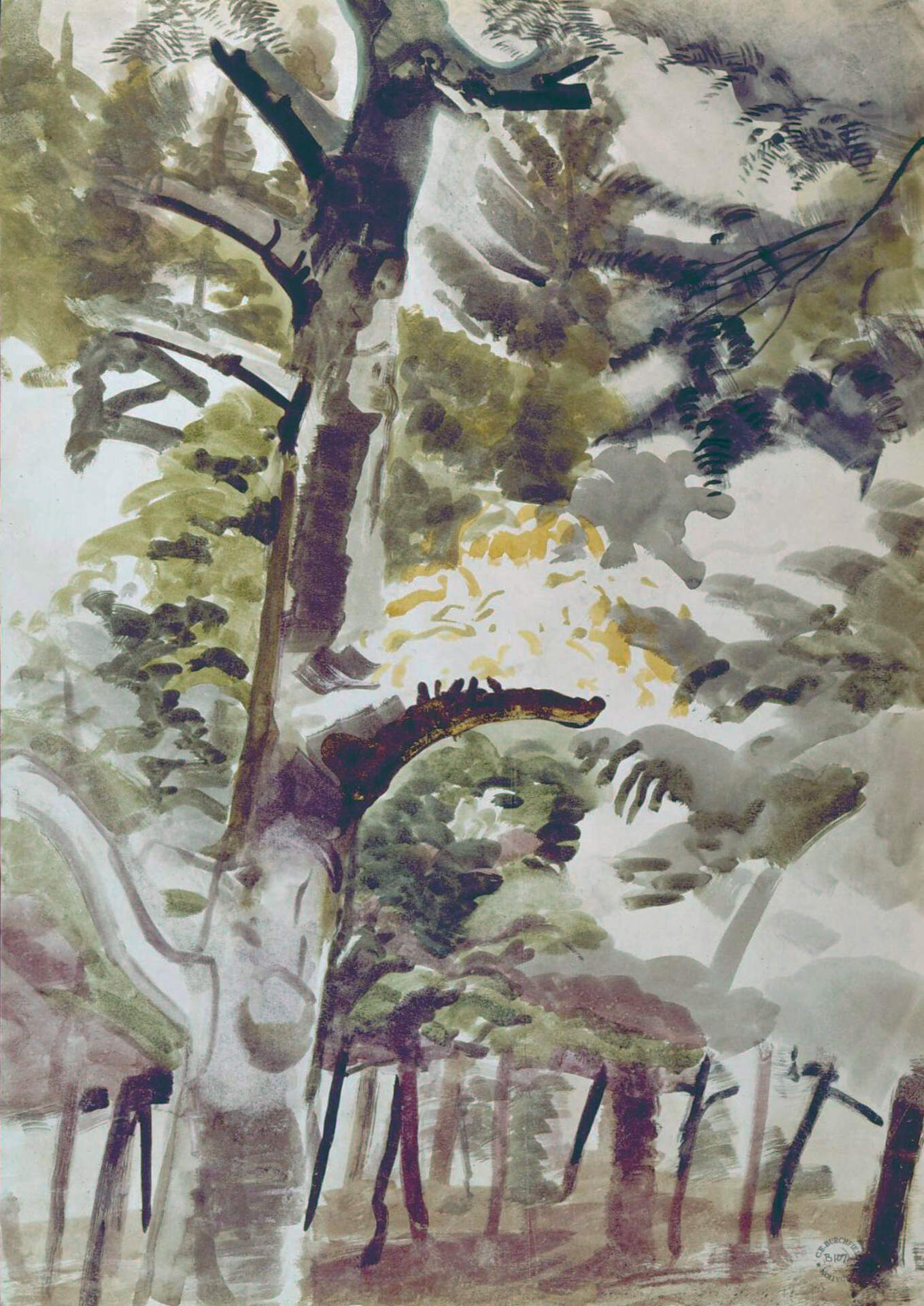 Trees