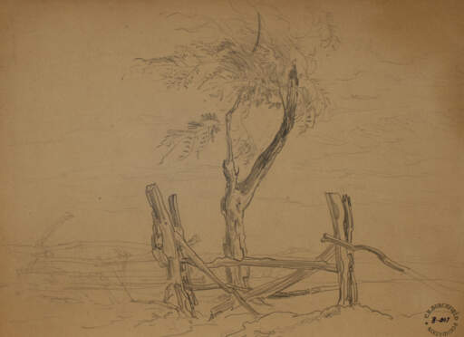 Rail Fence and Tree