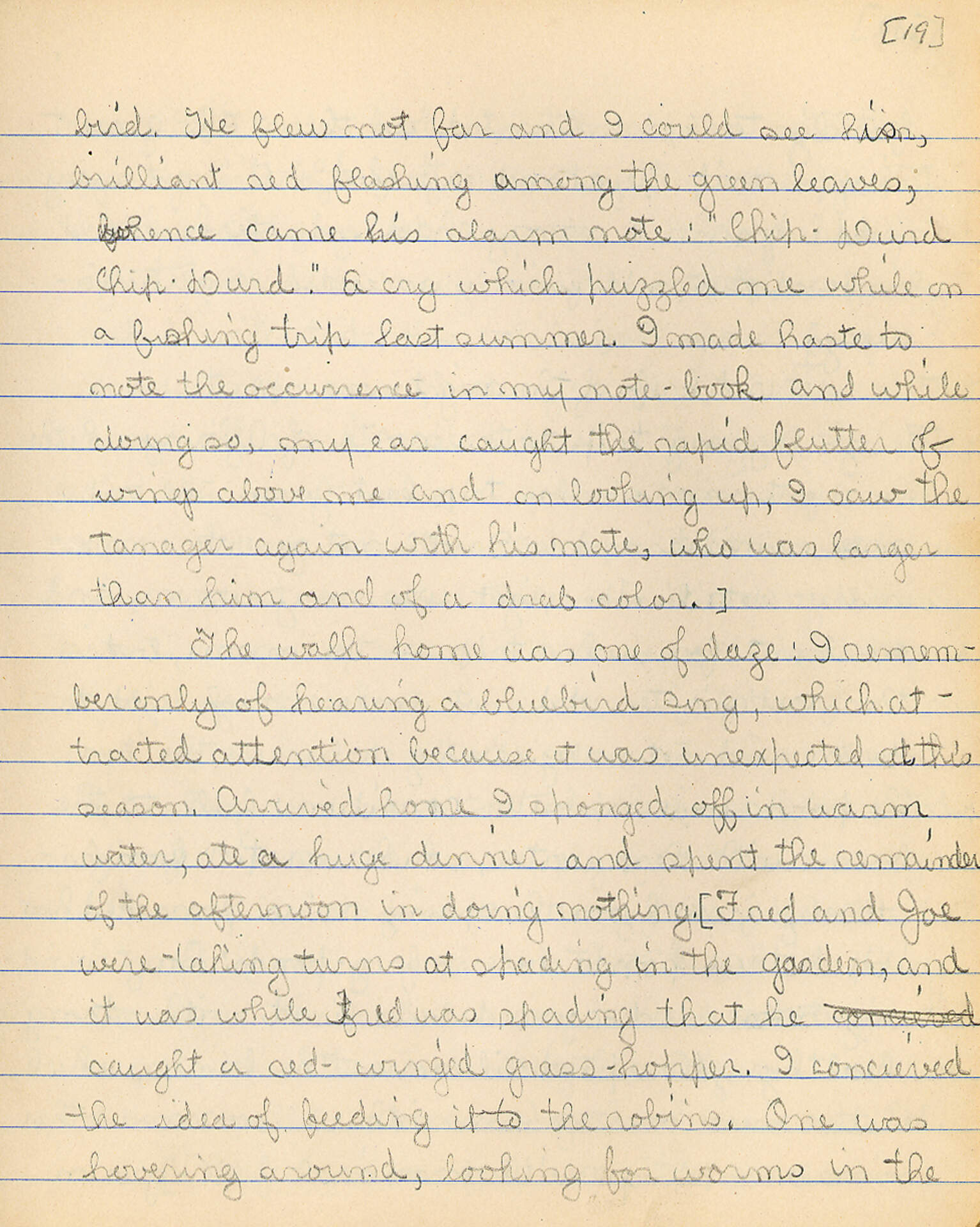 Untitled (Journal Pg 19)