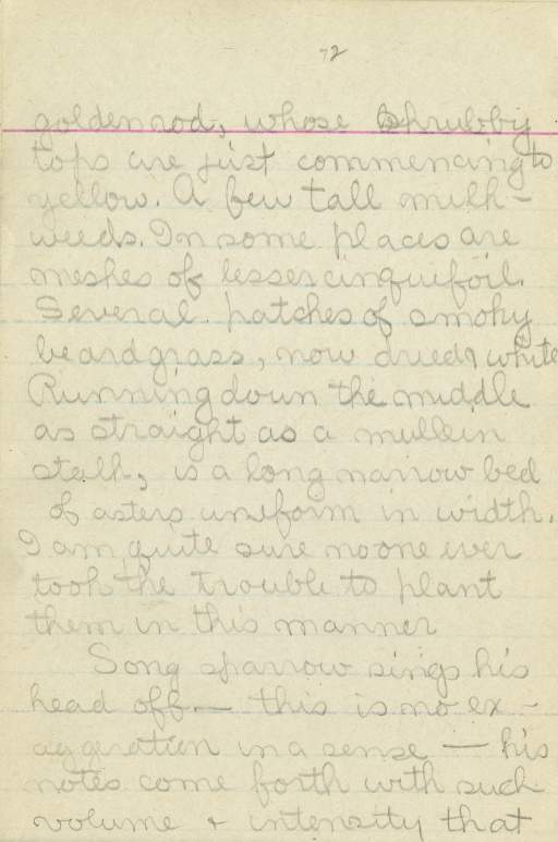 Untitled (Journal Page) pg. 72