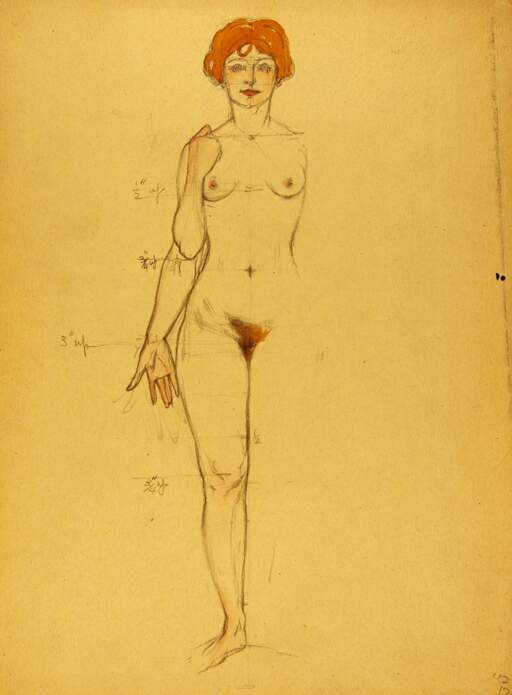 Proportion Study of Female