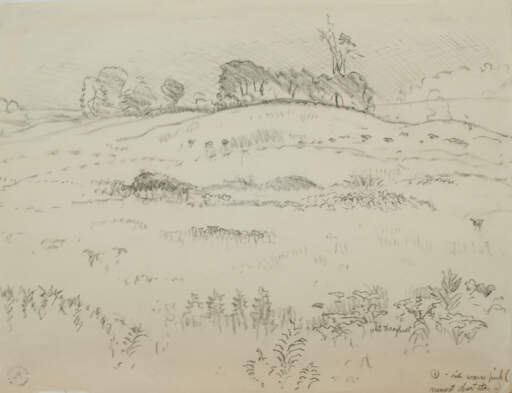 Meadow Sketch, Rich Warm Pink