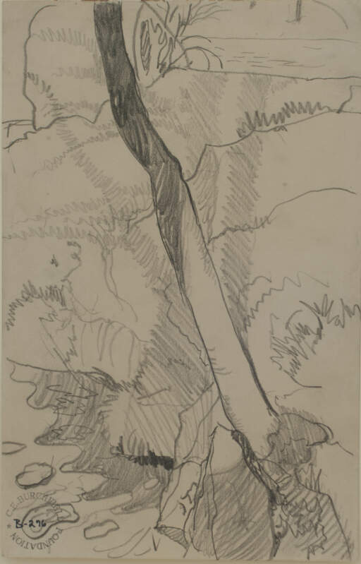 Rocks and Tree