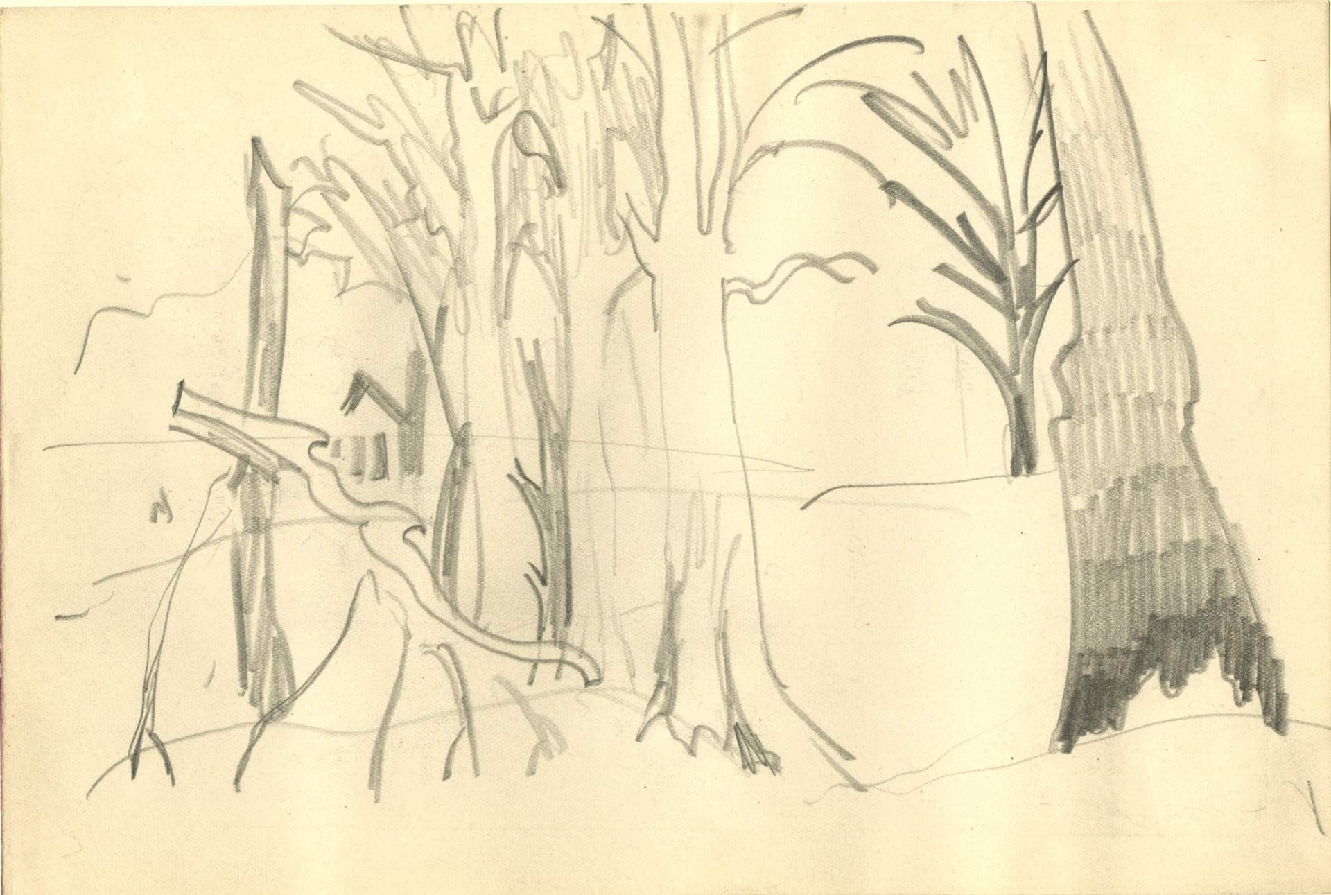 Sketch with broken branches, trees, and house