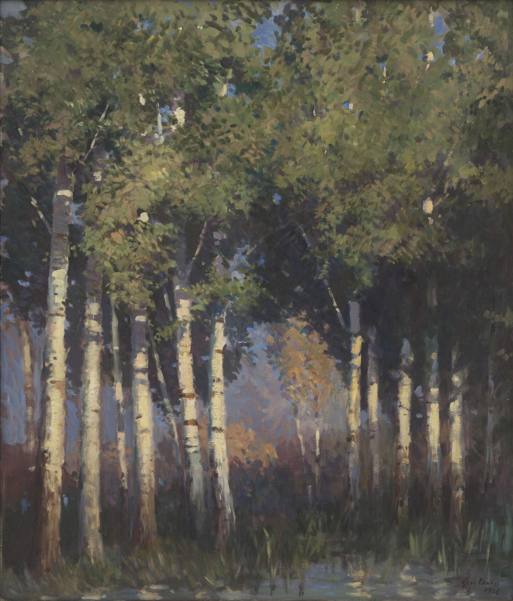 Untitled [Tonalist landscape with sunlit birches]