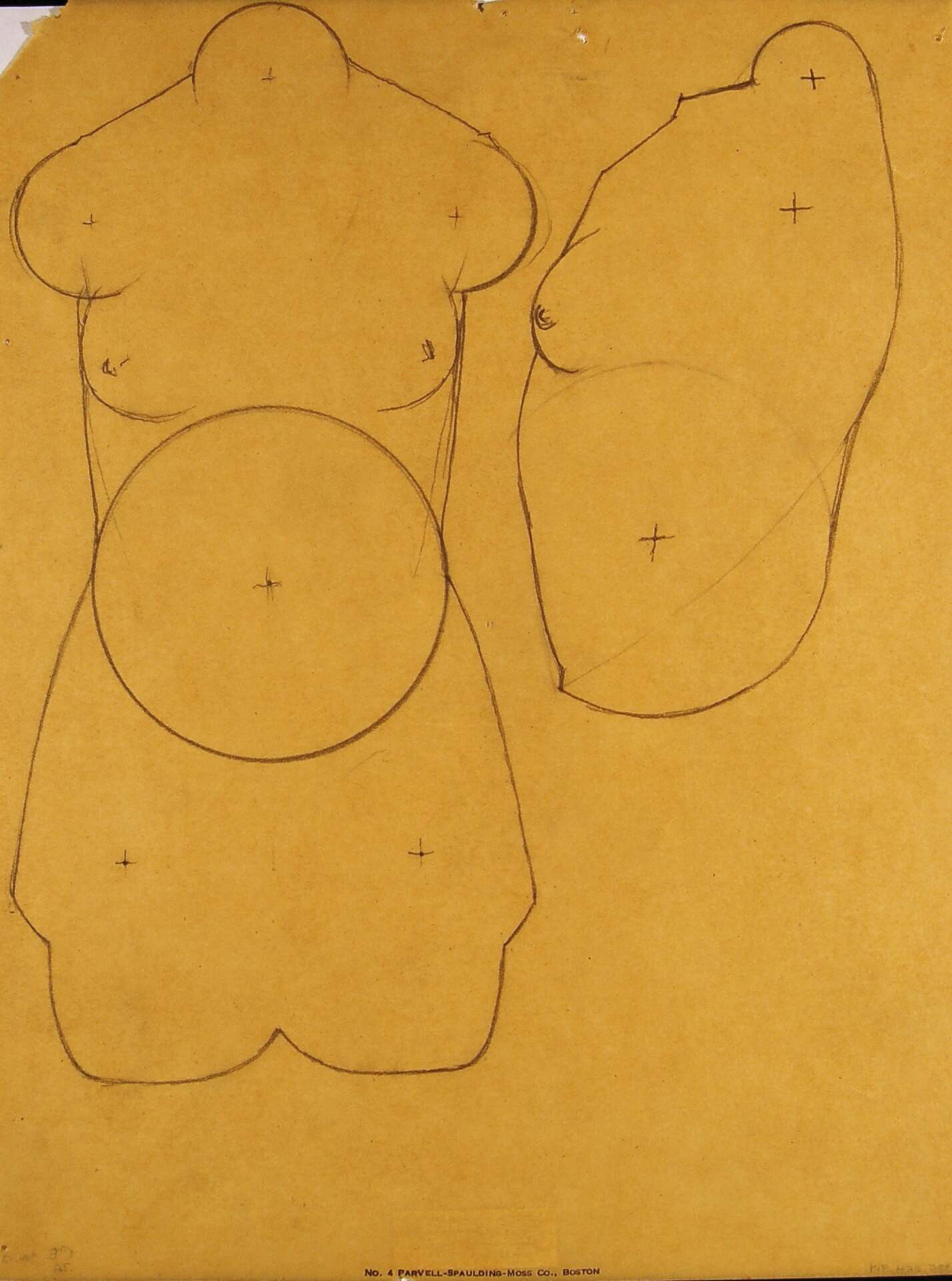 Two Torsos for Study Aids