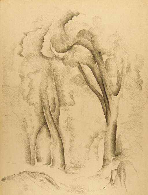 Tree and Bushes