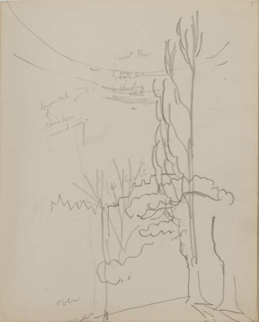 Untitled (trees with sun and landscape behind them)