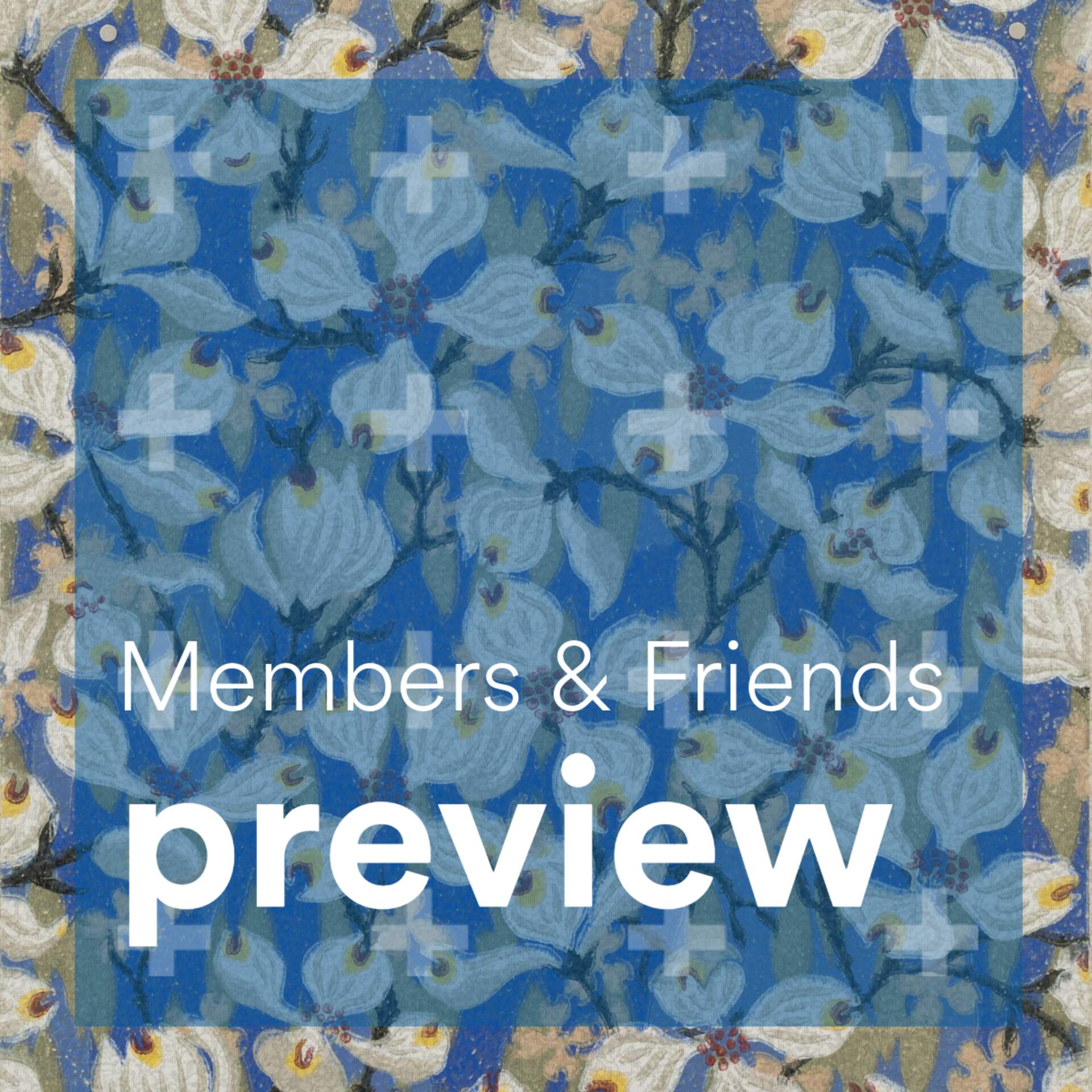 Members & Friends Preview
