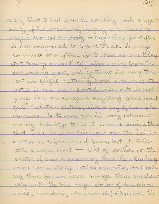 Untitled (Journal Pg 27)
