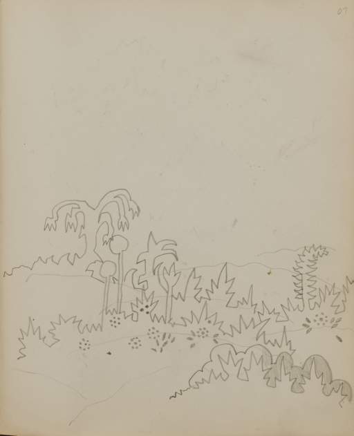 Untitled (landscape with shrubs and foliage)