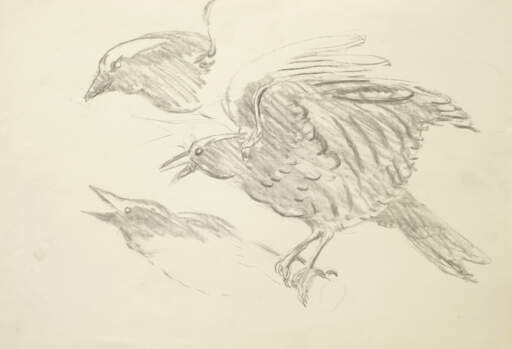 Study for North Wind in March