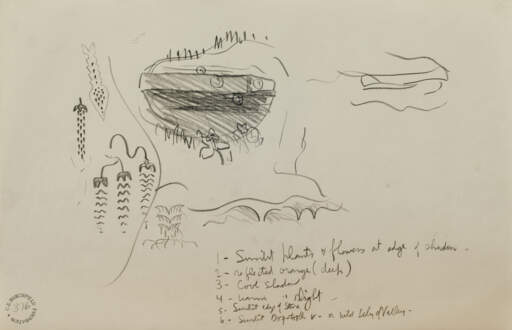Untitled (Sunlit Plants and Flowers)