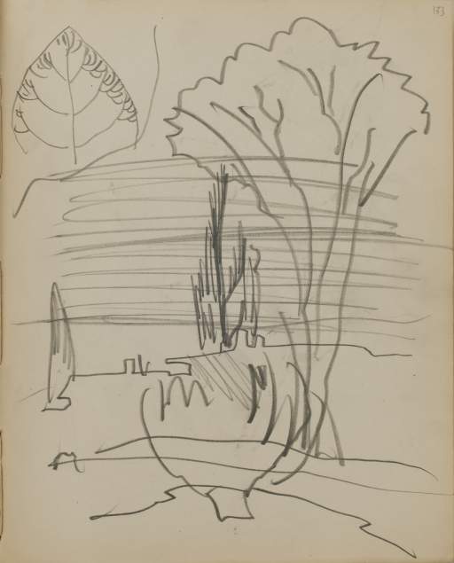 Untitled (landscape with tree and branches)