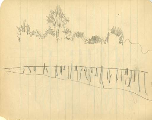 Outline of forest line