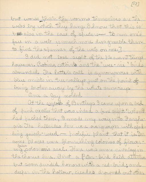 Untitled (Journal Pg 13)
