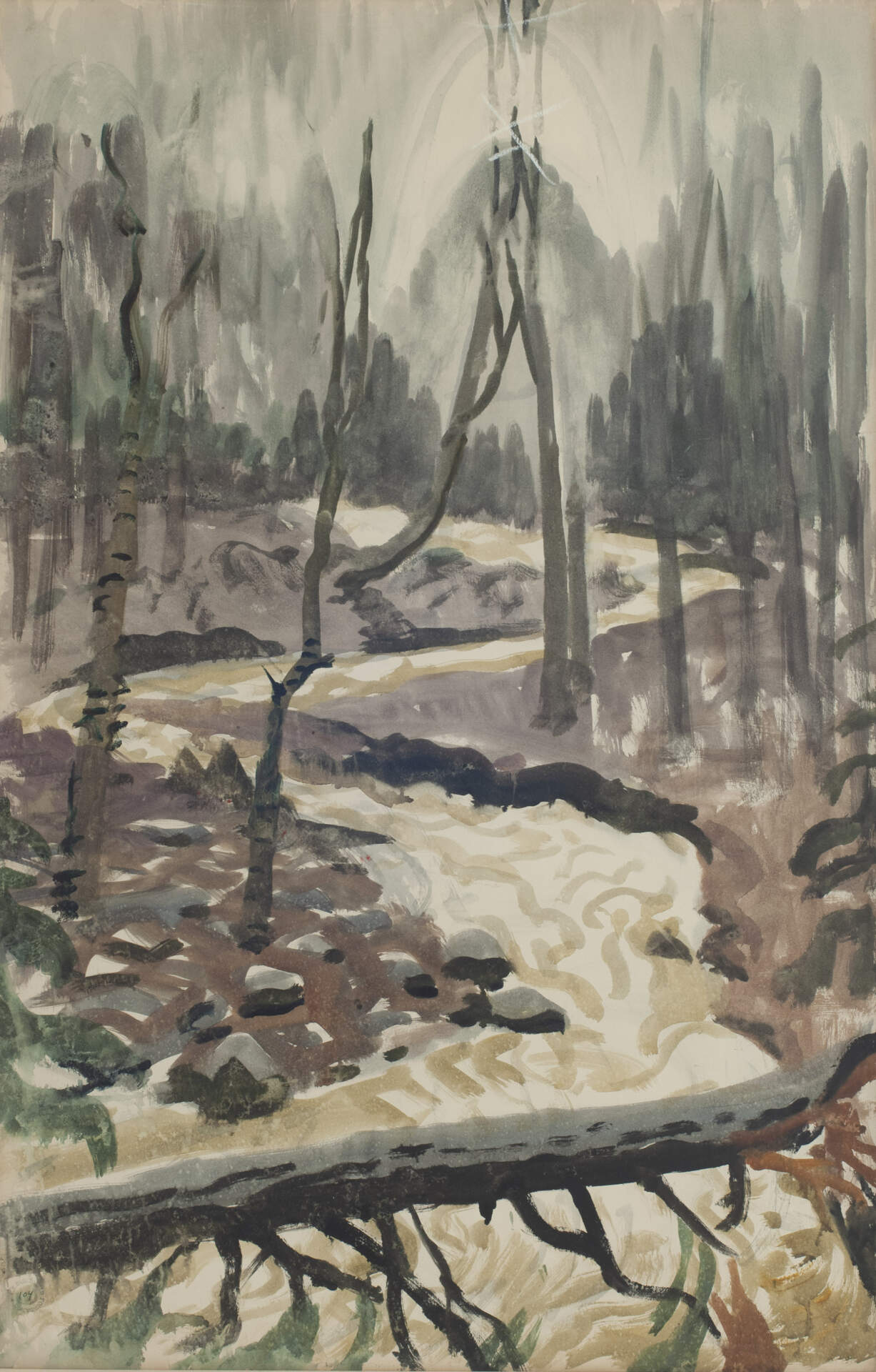 Yellow Torrent in the Woods Near Hepatica Hollow