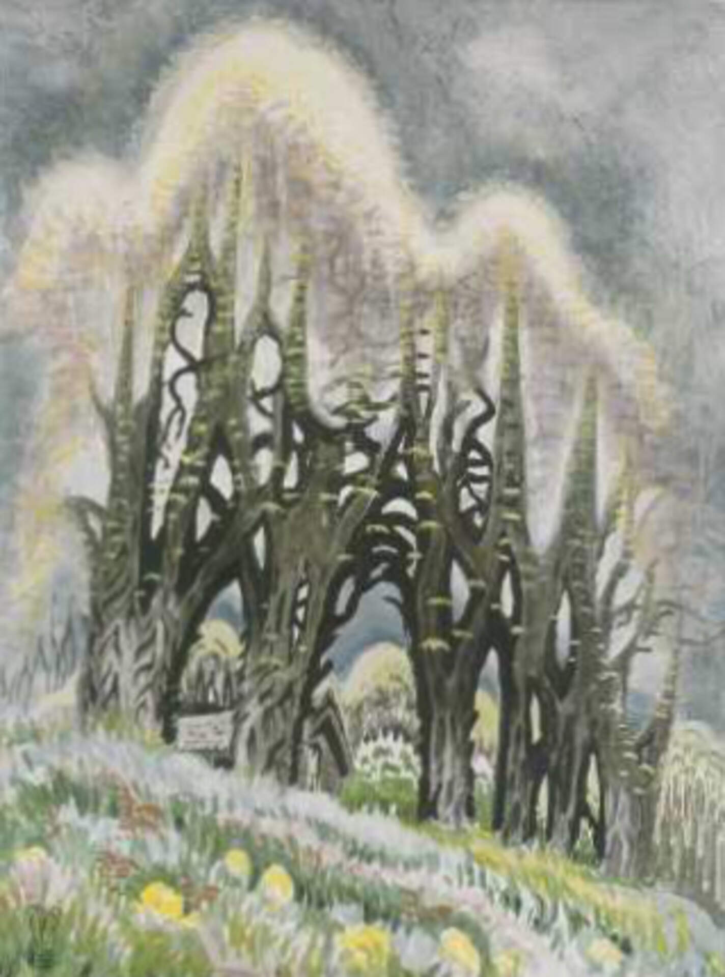 Locust Trees in Spring