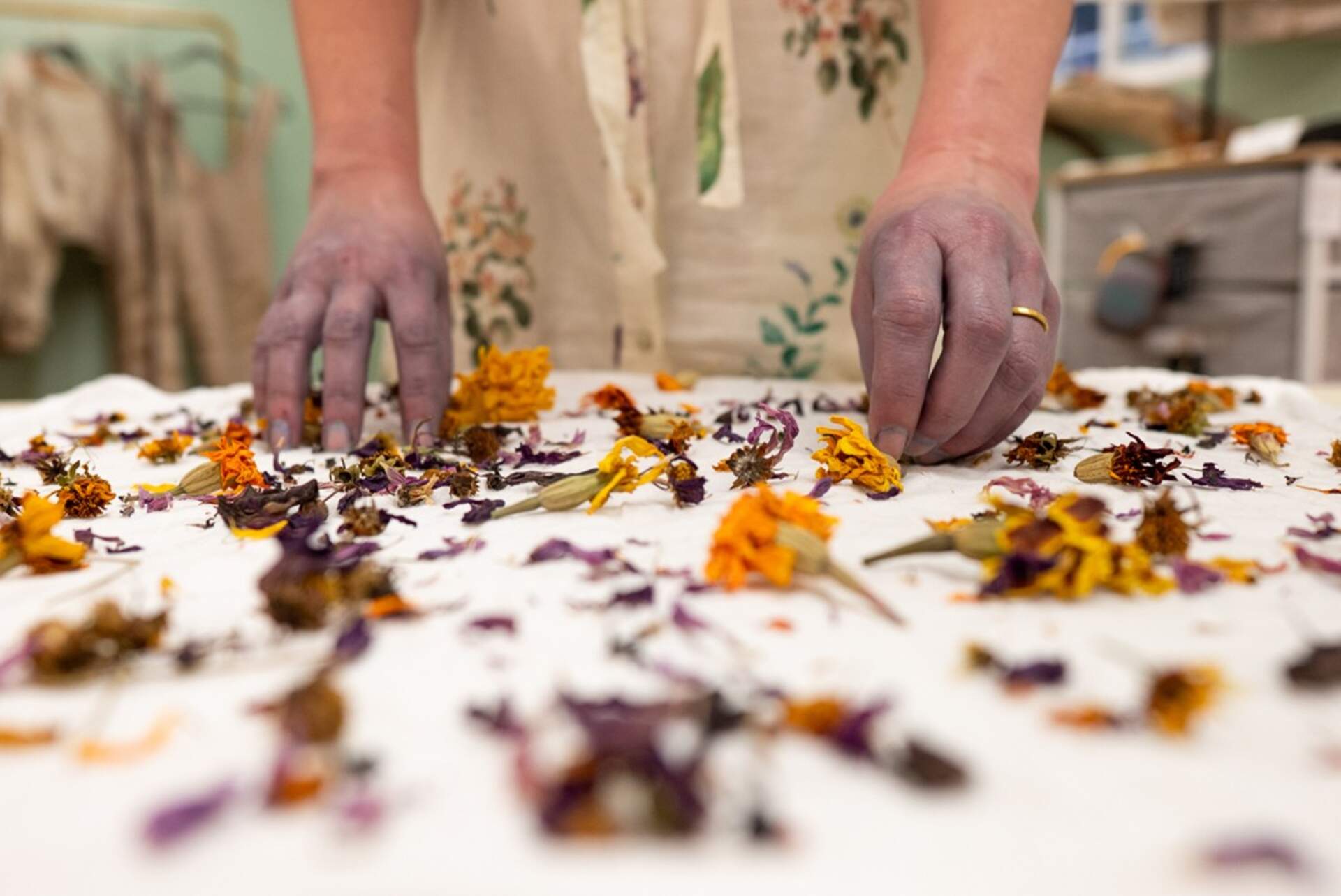 Impressions of Nature