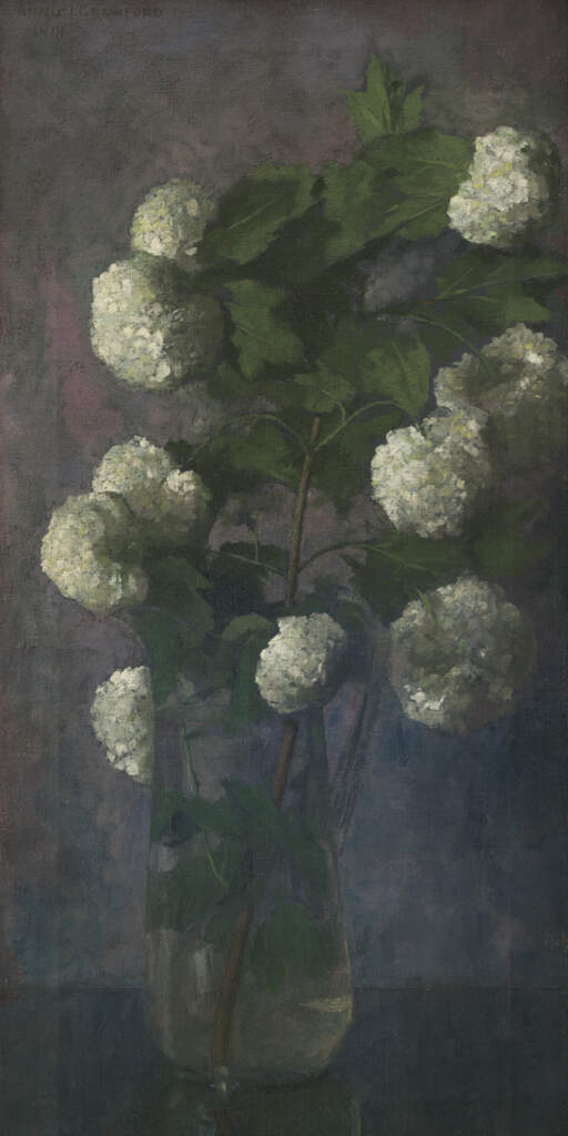 Untitled [Hydrangeas]