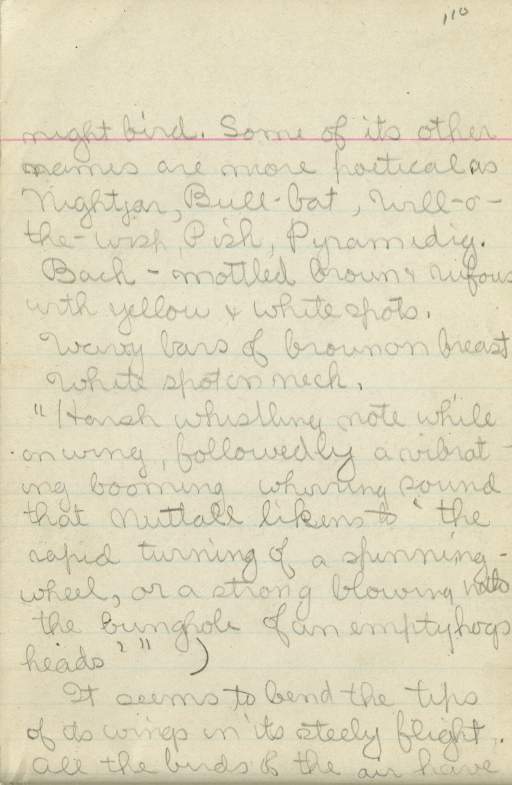 Untitled (Journal Page), Pg 110