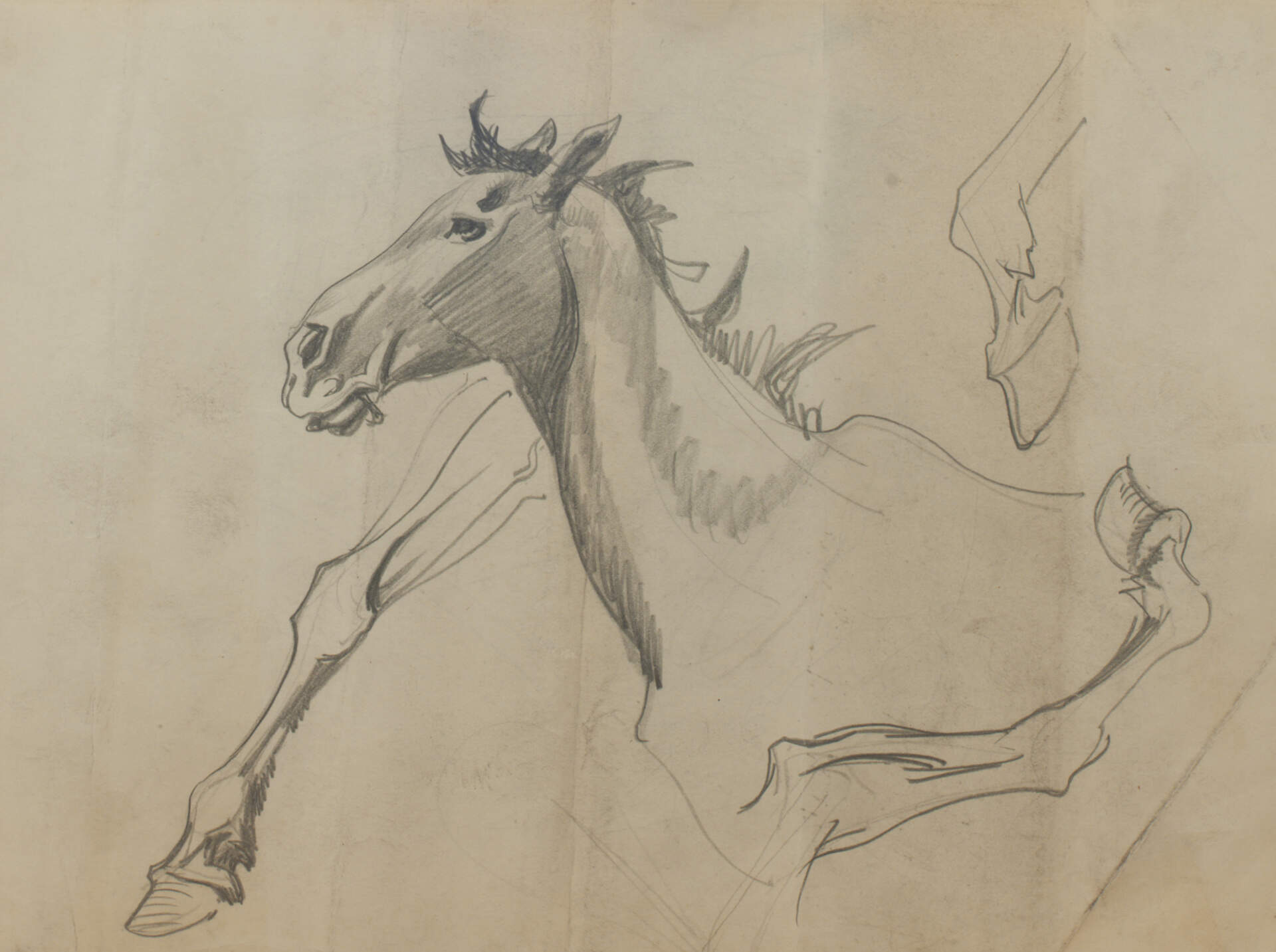 Study for Hiawatha Mural (Horse)