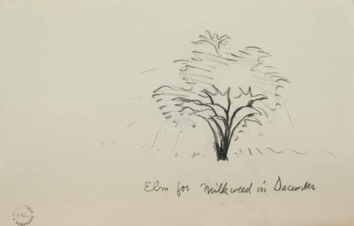 Elm for "Milkweed in Dec."