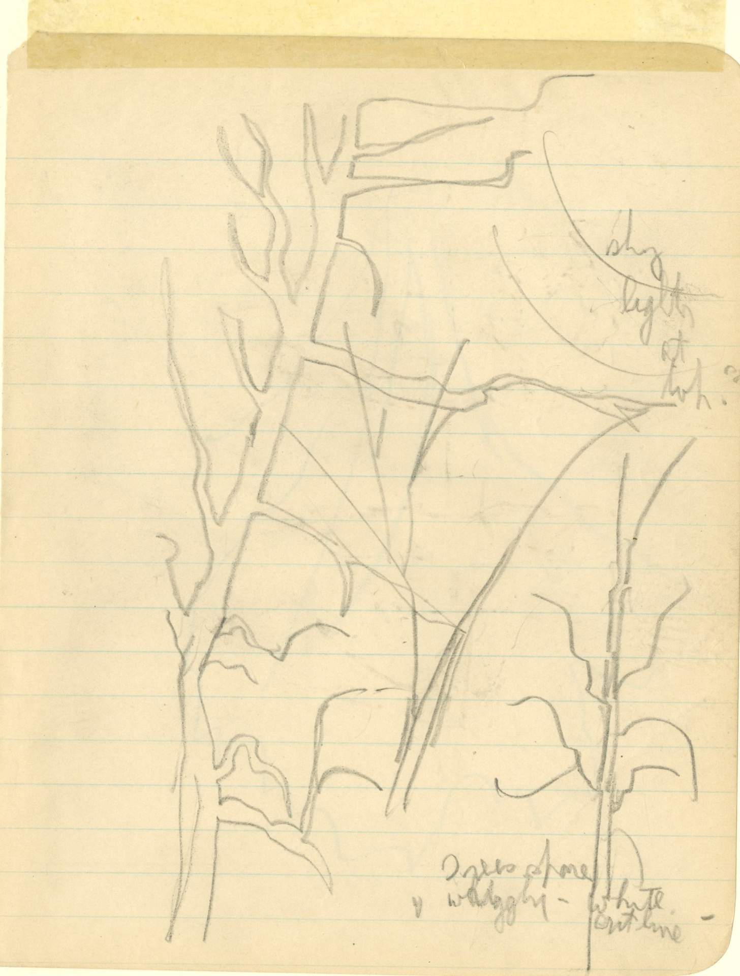 Sketch with description of color around trees
