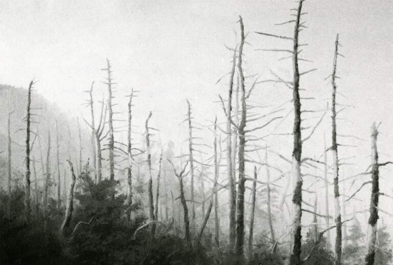 New Territory: 11 Artists on Landscape
