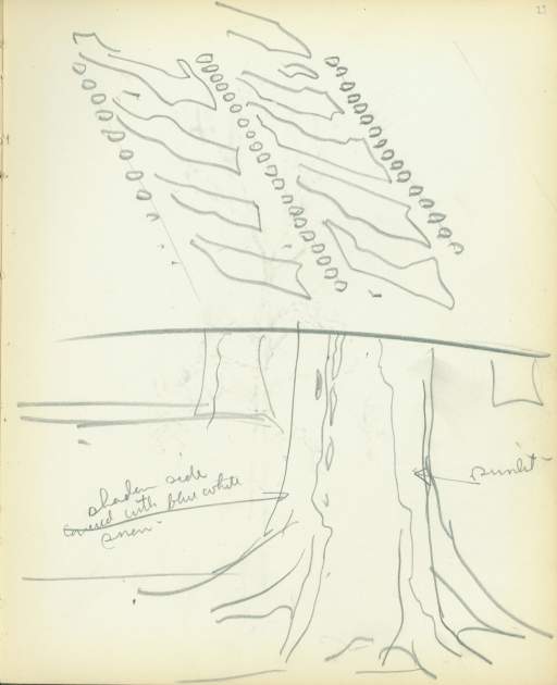 Untitled (tree and snow sketches)