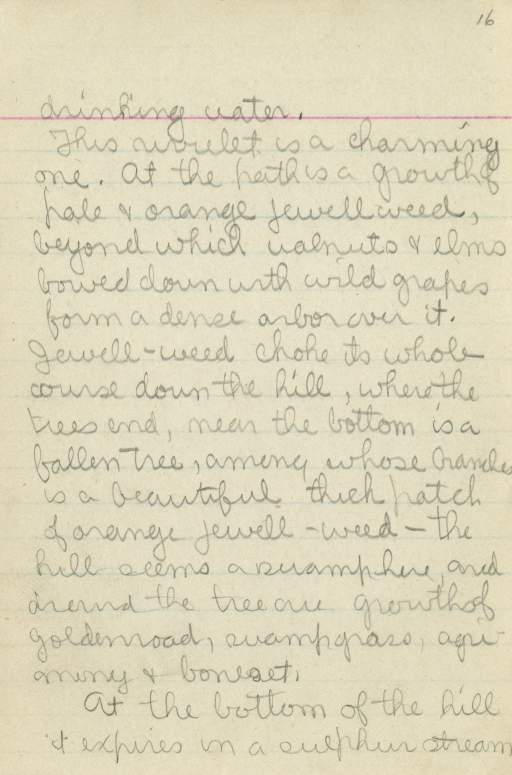 Untitled (Journal Page), Pg 16