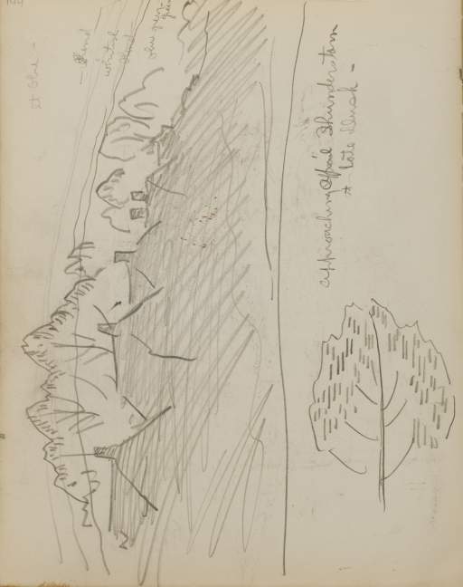 Untitled (top of houses and trees)