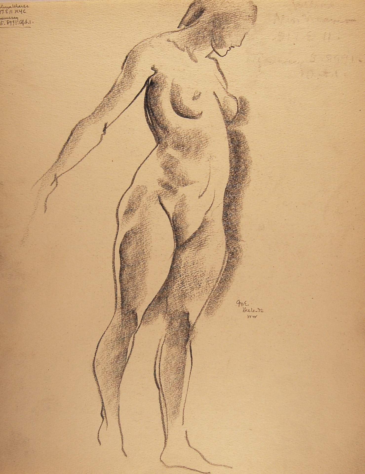 Female Nude Standing