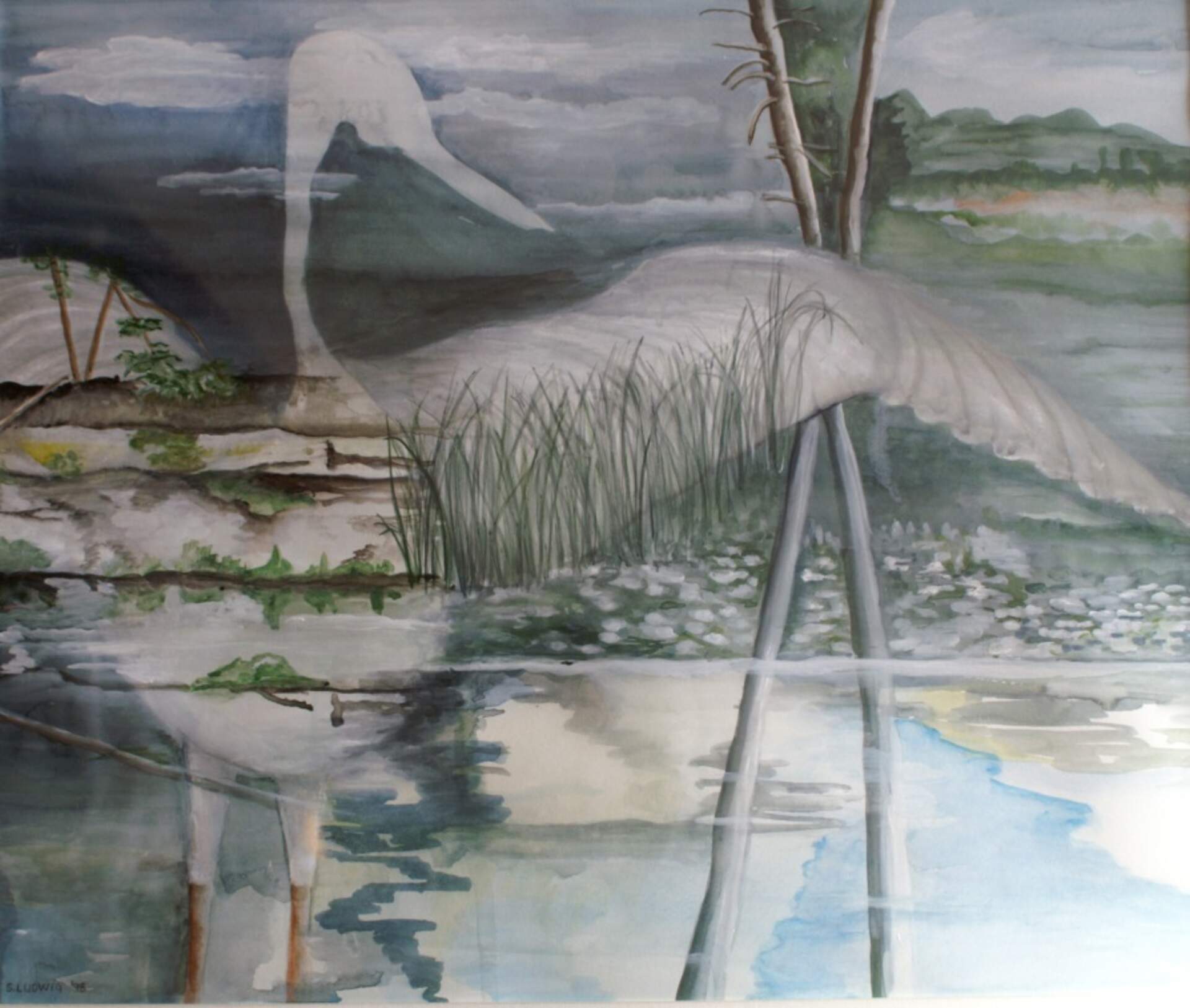 [Spirit of Ashokan, Sandy Ludwig]