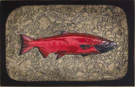 "Biological Regionalism: King Salmon, Aniak River, Alaska"
