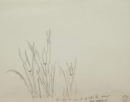 Cattails, Pale Yellow Green Leaves with Pale Ochre