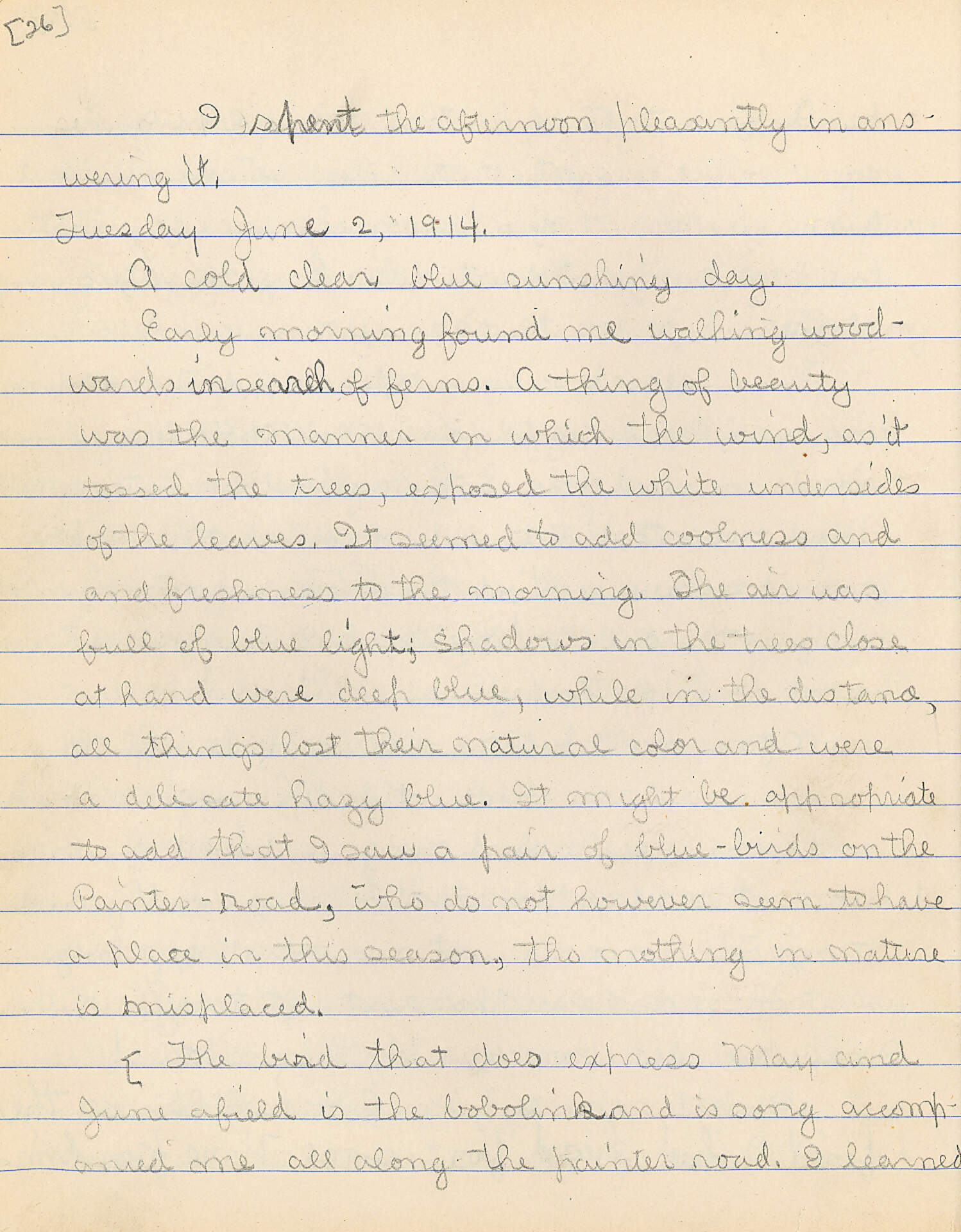 Untitled (Journal Pg 26)