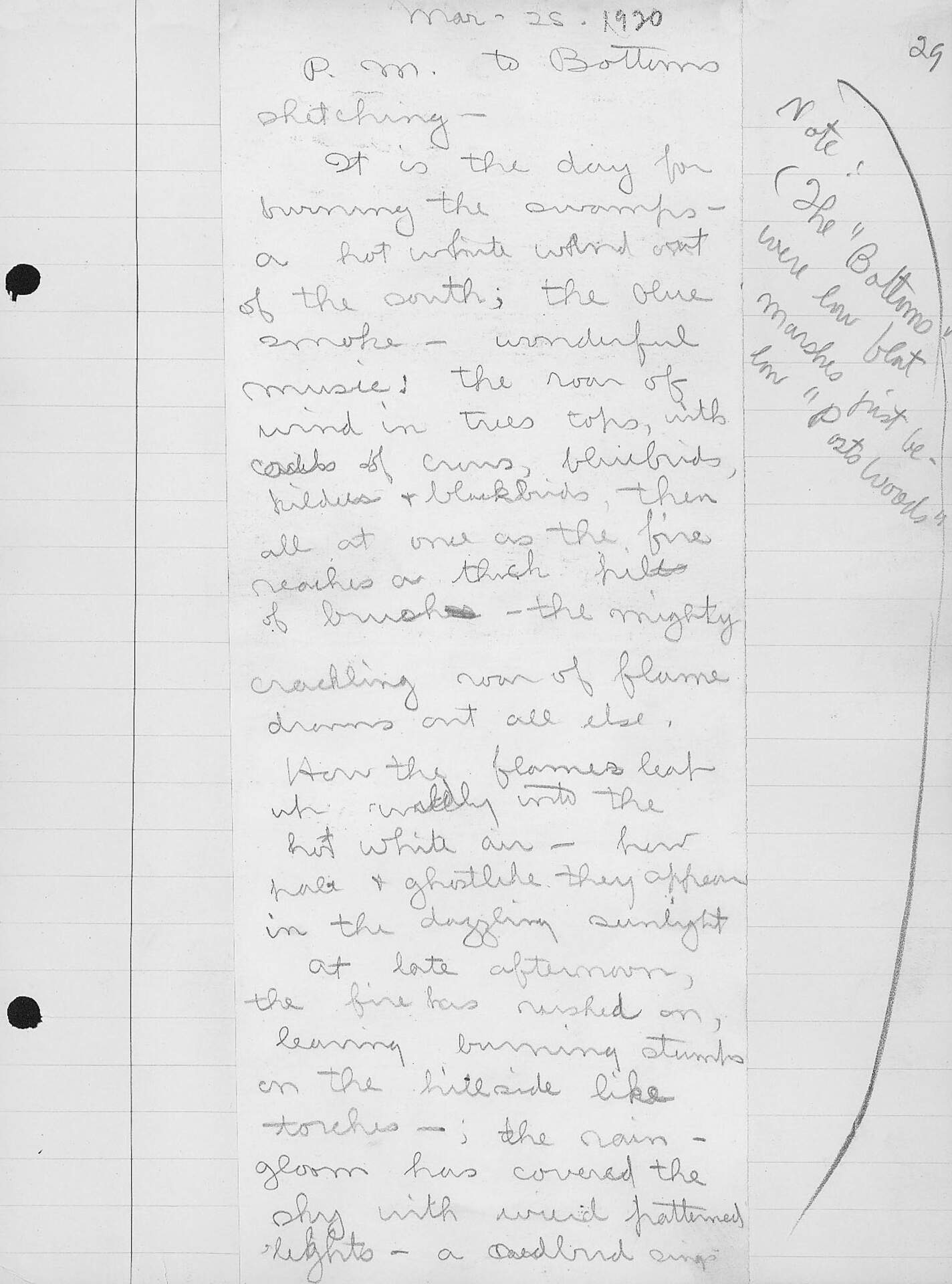 Volume 33, Page 29