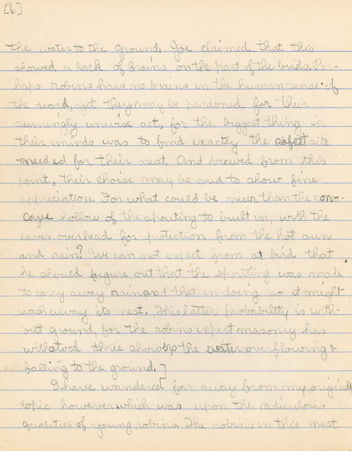 Untitled (Journal Pg 6)