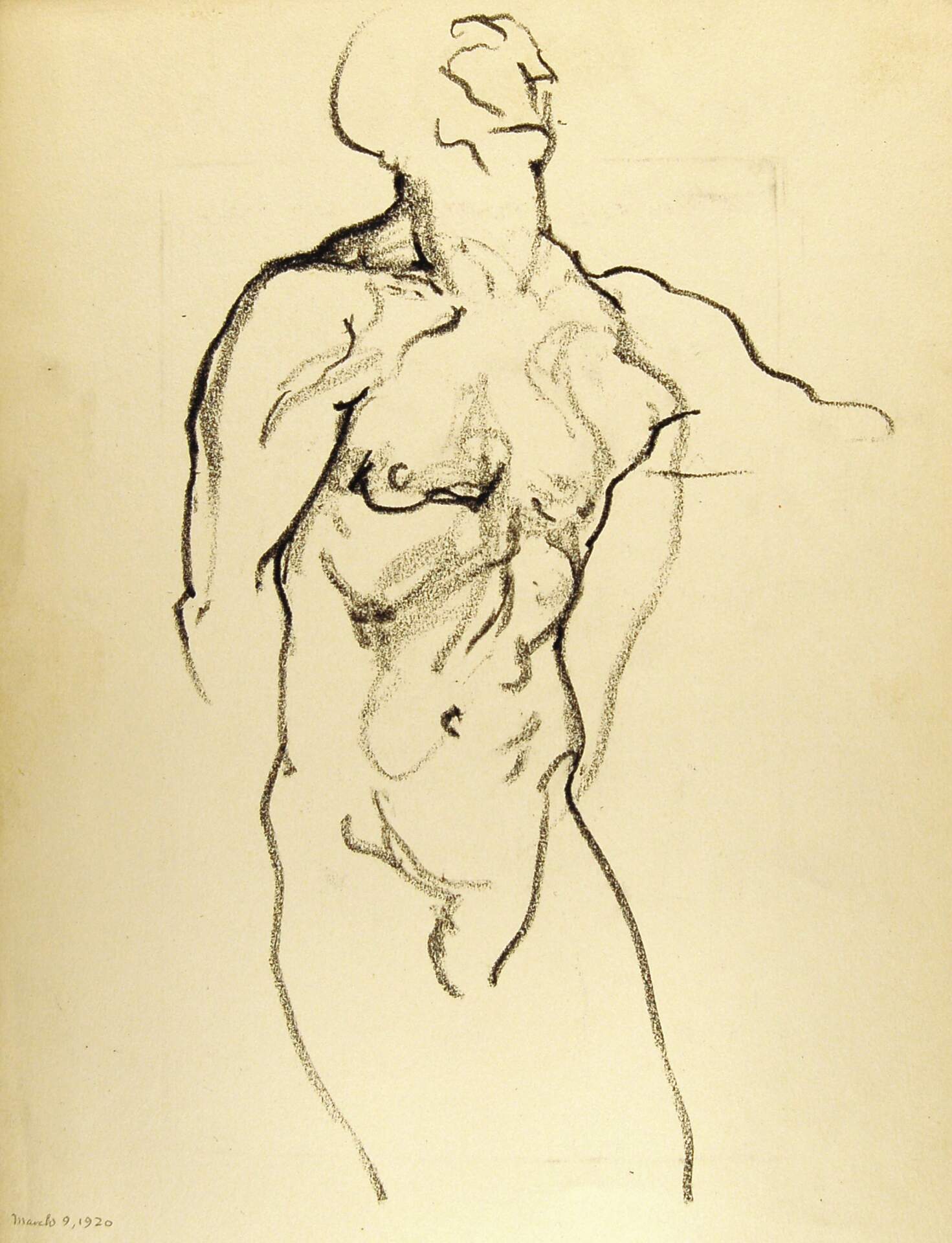 Standing Male Nude