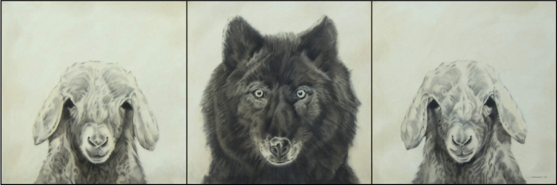 Sheep Wolf Sheep