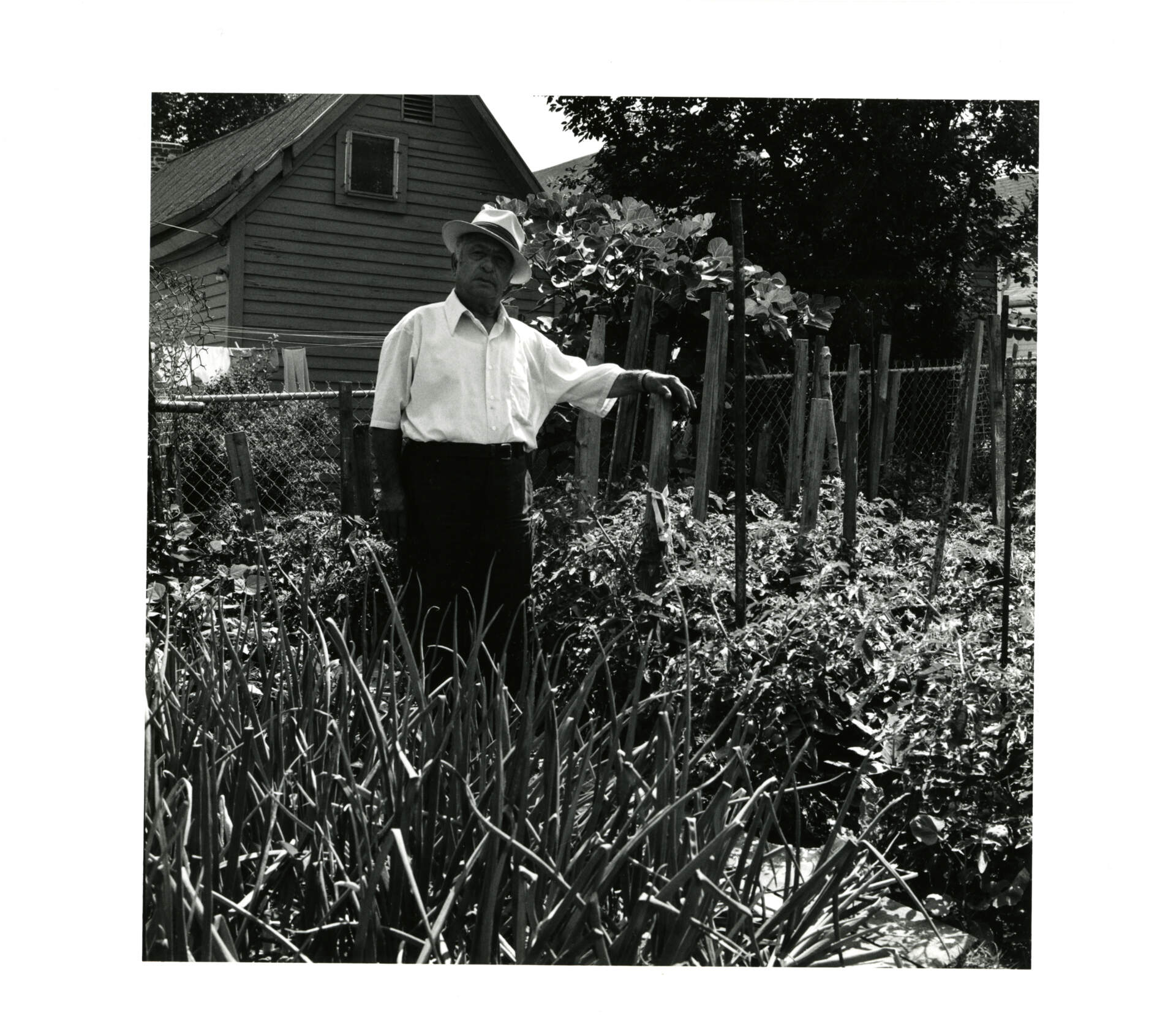 Lower West Side 403-3