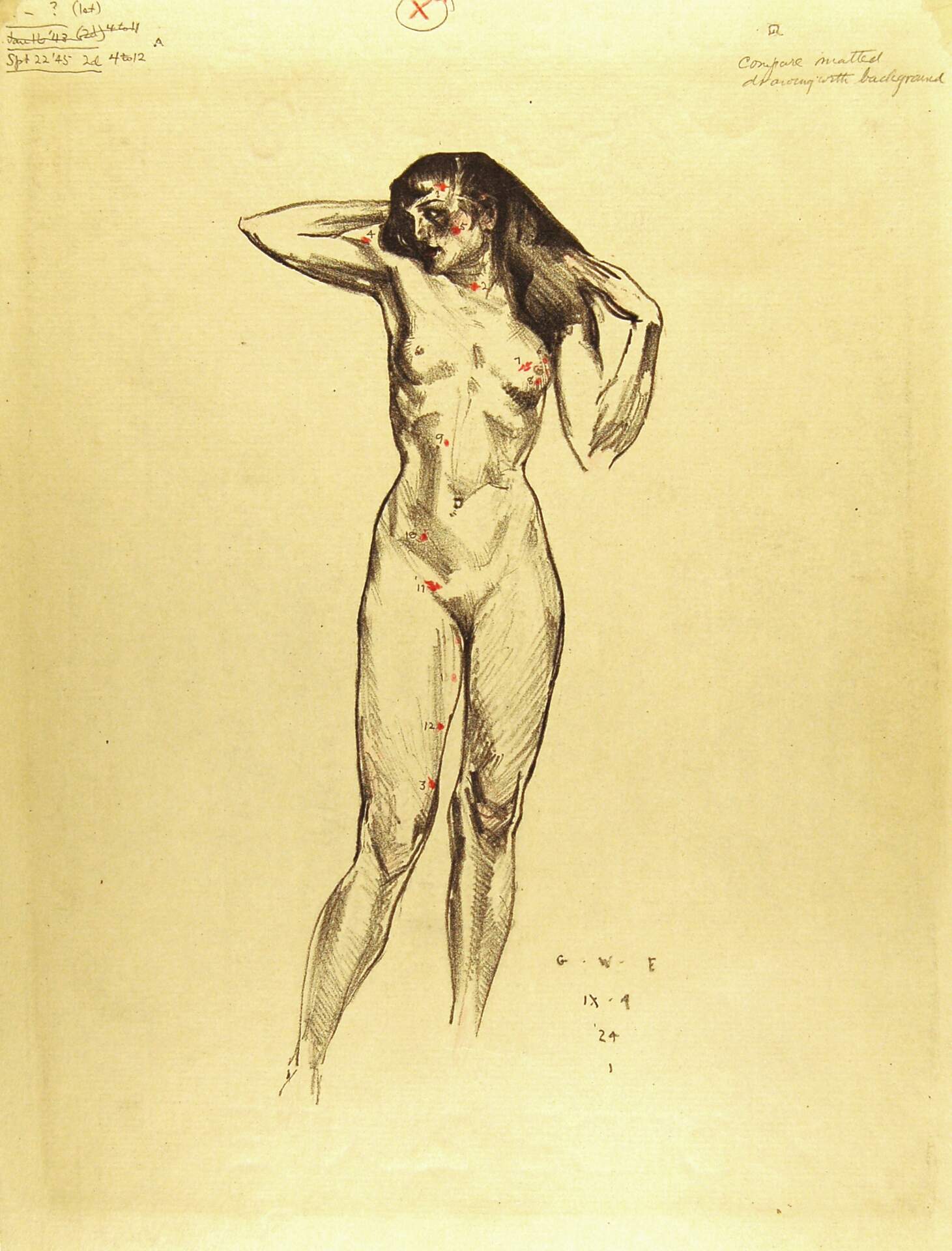 Standing Female Nude