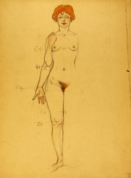 Proportion Study of Female