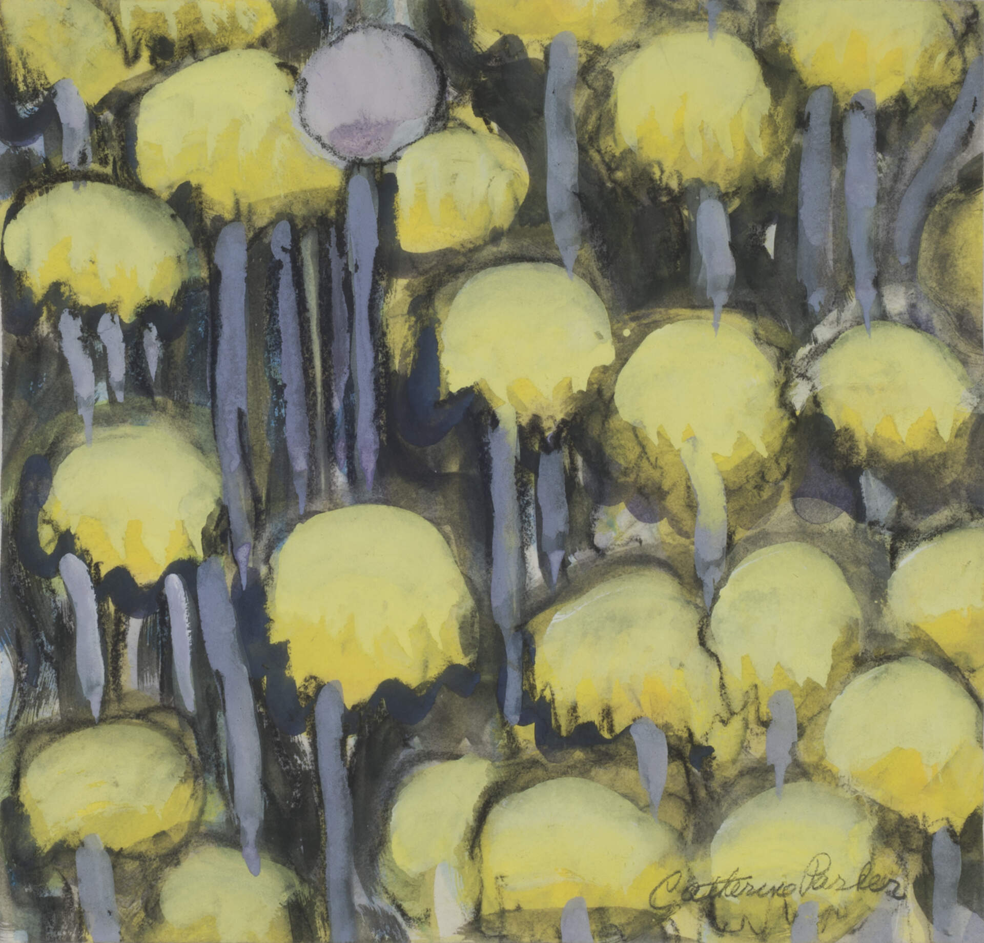 Untitled (Dandelions)