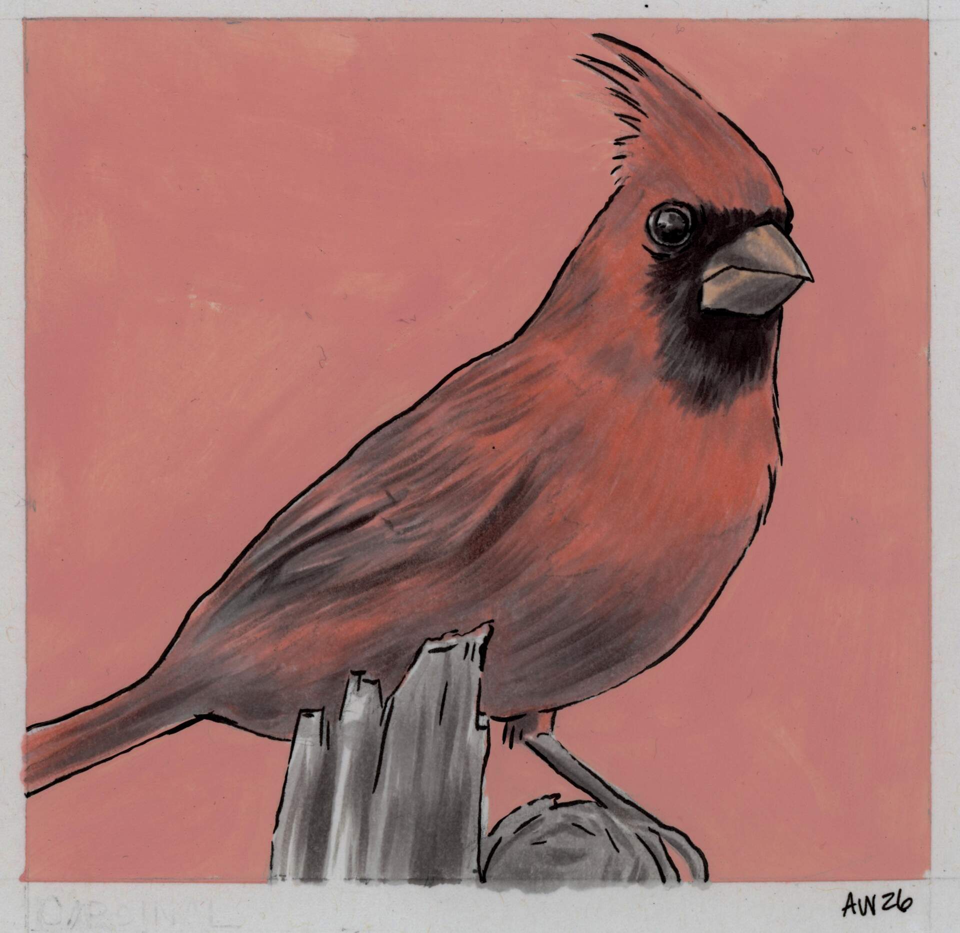 Cardinal